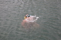 IMG_8288.JPG