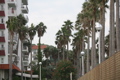 IMG_8292.JPG