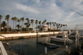IMG_8305.JPG
