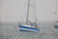 IMG_8986.JPG