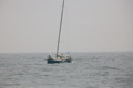 IMG_8841.JPG