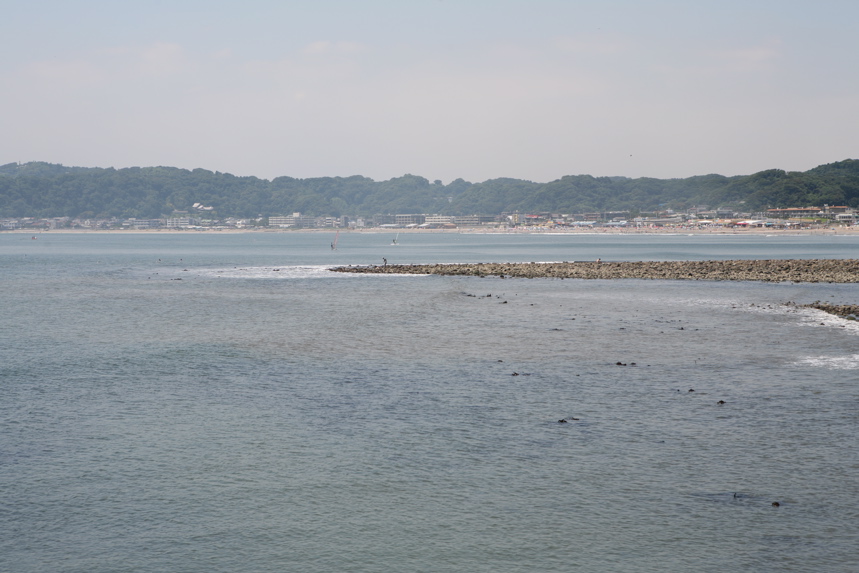 IMG_9337.JPG