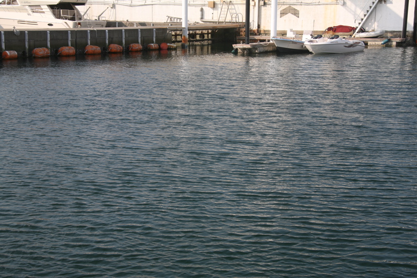 IMG_9451.JPG