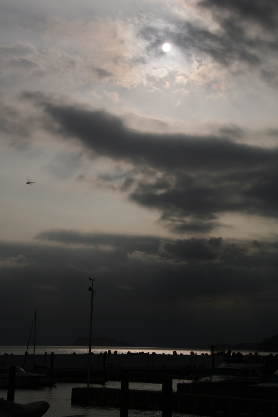 IMG_9490.JPG