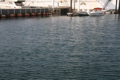 IMG_9451.JPG
