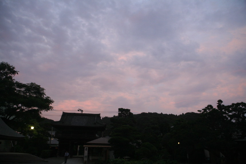 IMG_8438.JPG