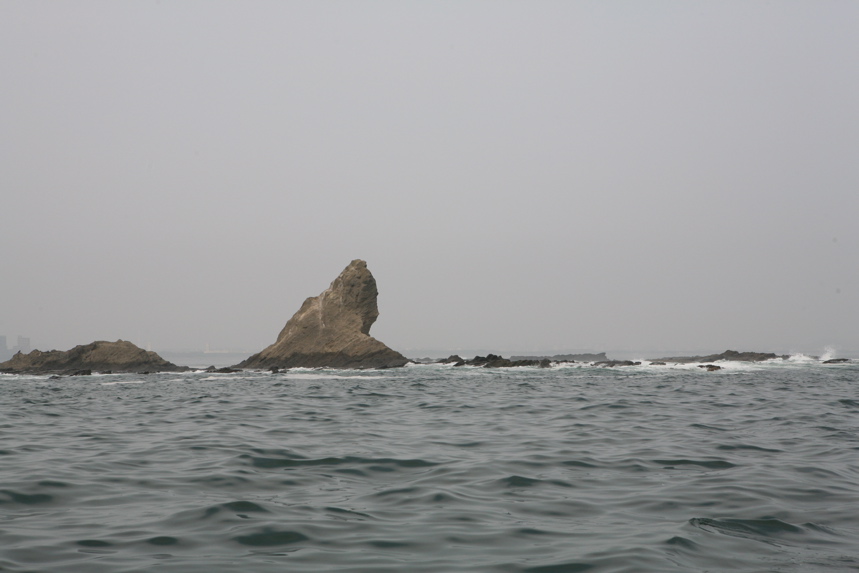 IMG_8481.JPG