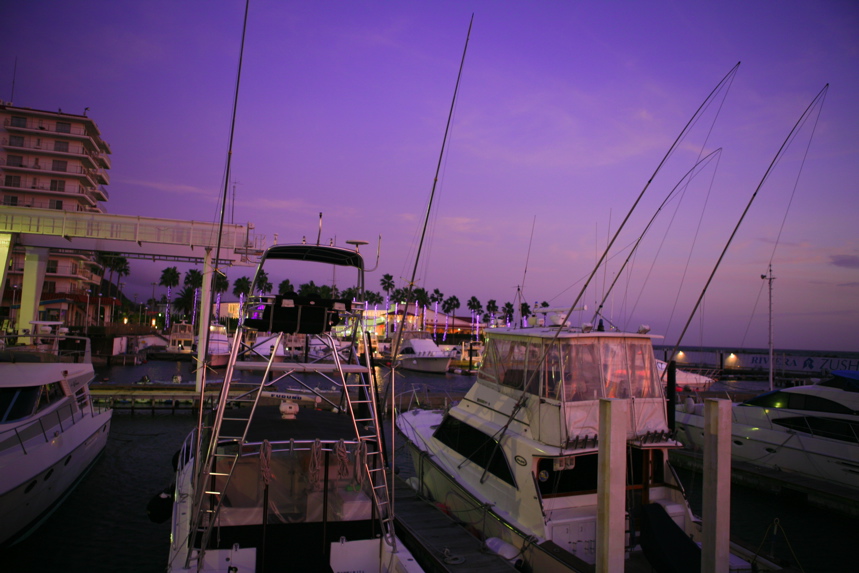 IMG_1514.JPG