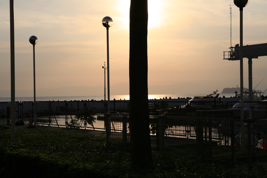 IMG_1689.JPG