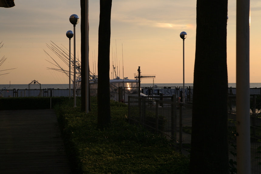 IMG_1710.JPG