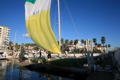 IMG_2386.JPG