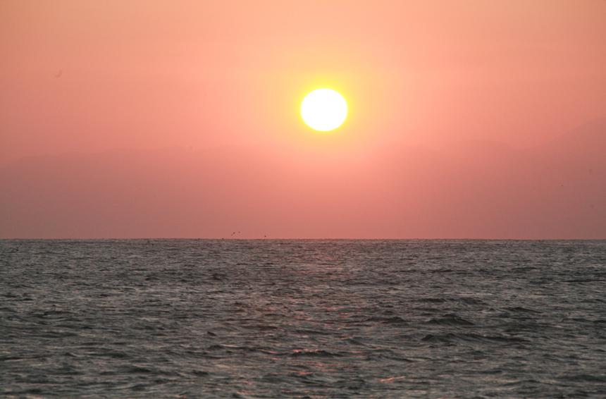 IMG_2675.JPG