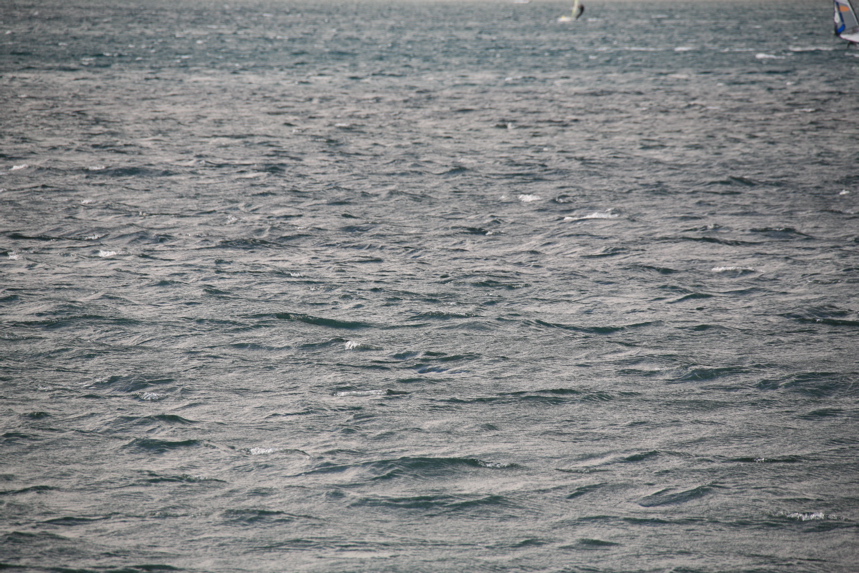 IMG_2865.JPG