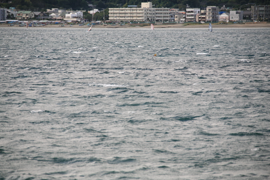 IMG_2889.JPG