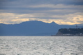 IMG_2900.JPG
