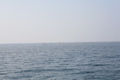 IMG_3088.JPG